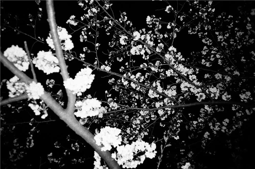 35 on 35 Japan, photo 5