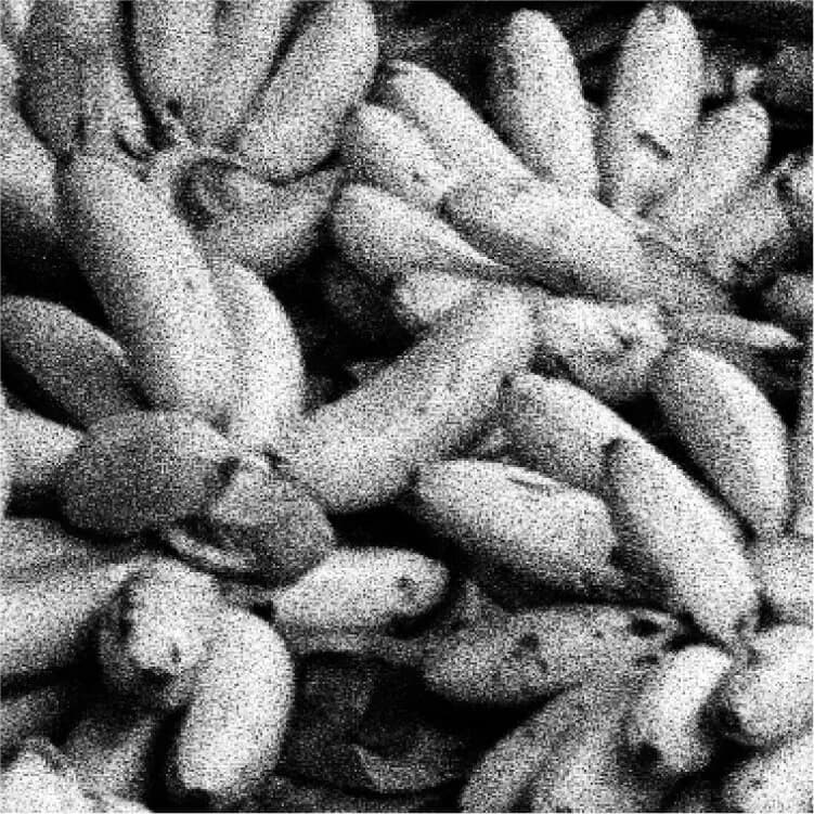 Market Squares, photo 6